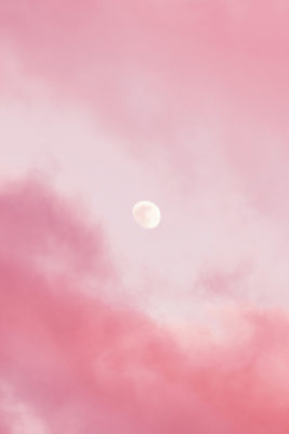 Pink sky with moon | February 2025 Horoscope