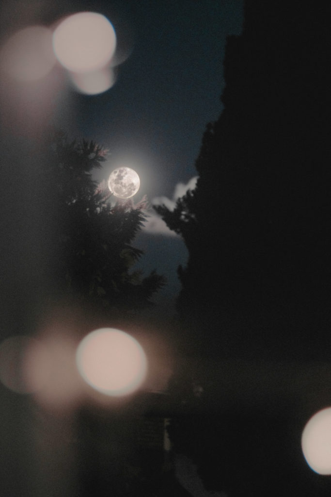 Wolf Moon star sign impact