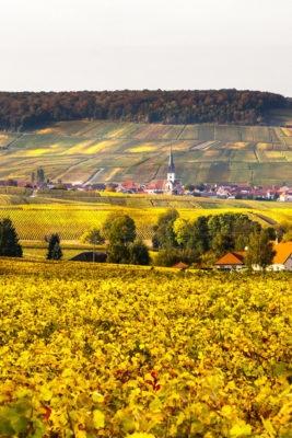 Champagne, France