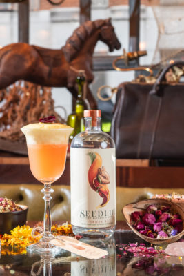 Seedlip drink and cocktail