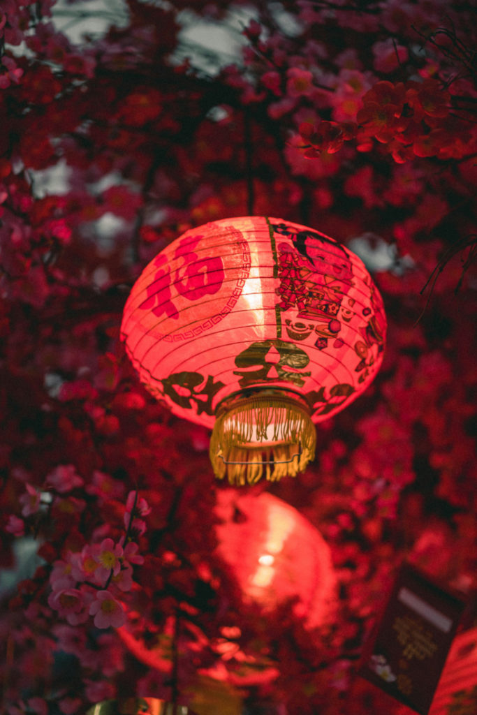 Lunar New Year lantern | Zodiac Horoscope 2025