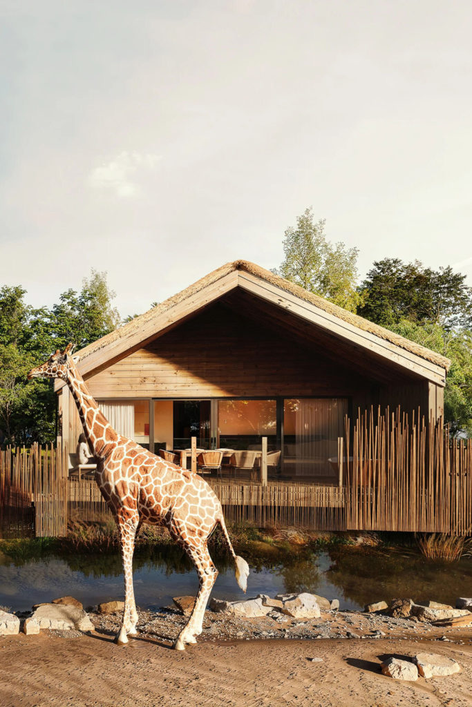 View of the Giraffe Lodge at Chester Zoo
