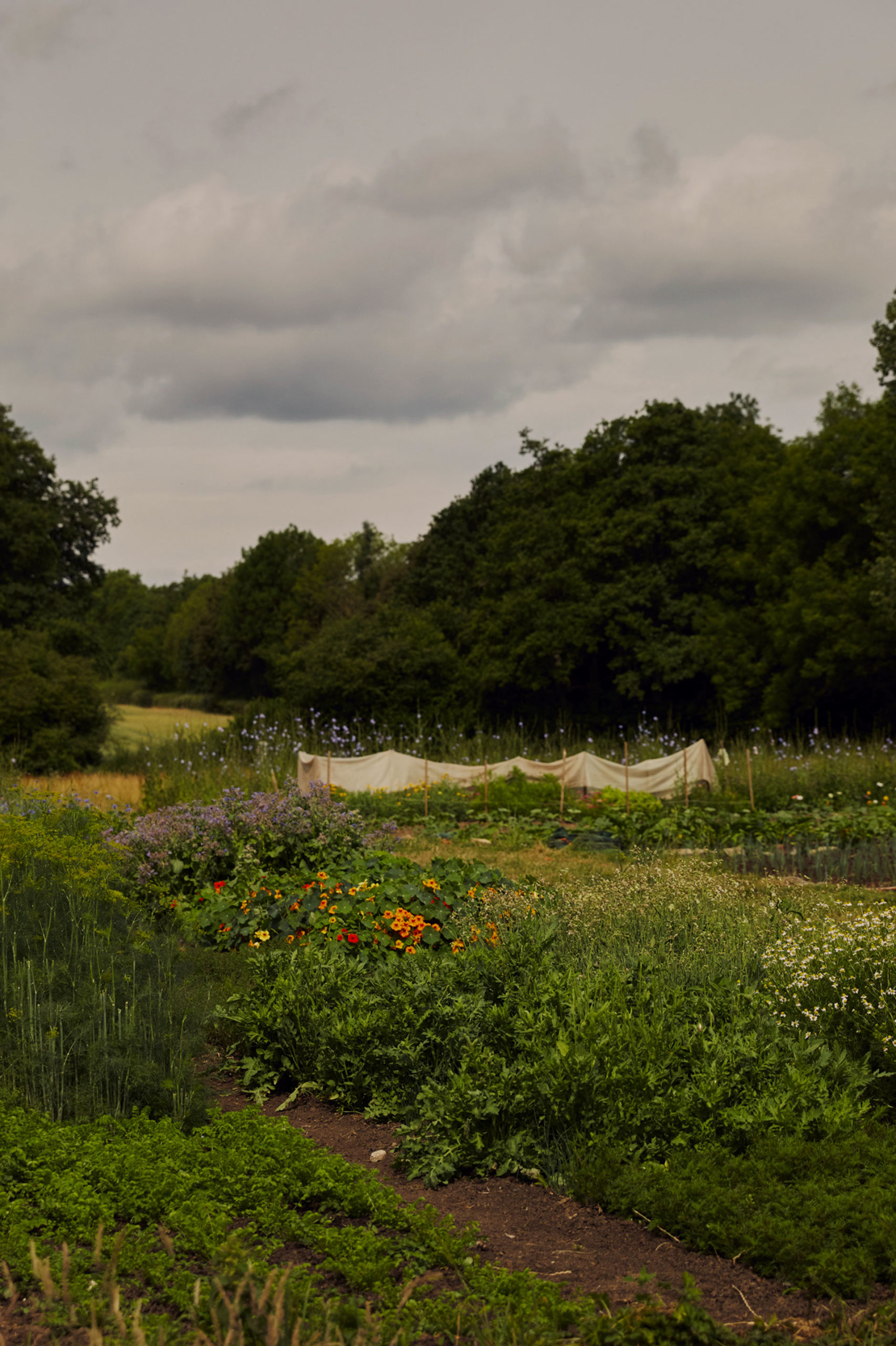 Wilson’s x Papi: Is This The Ultimate Eco-Friendly Supper Club?