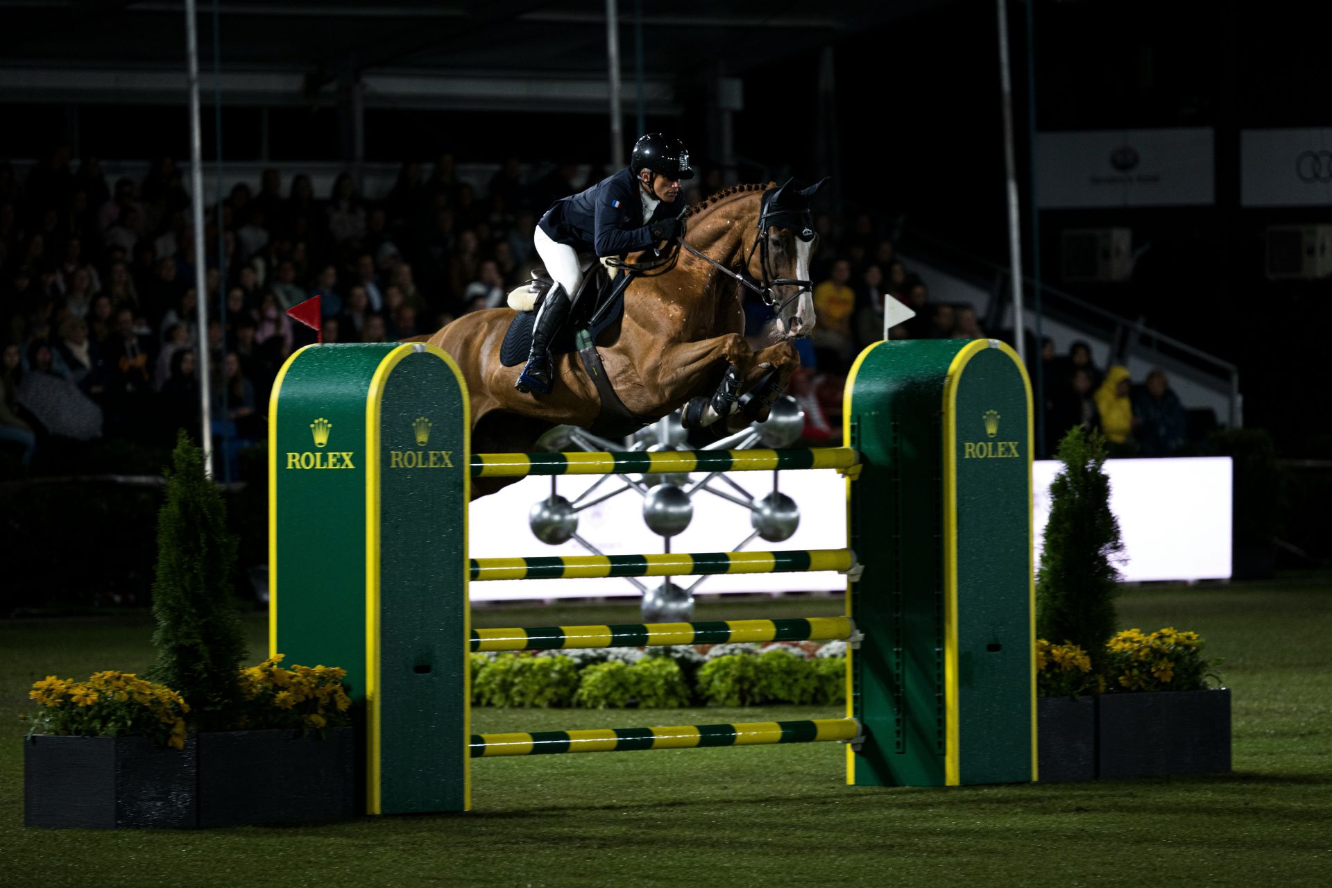 Showjumping with Rolex fence