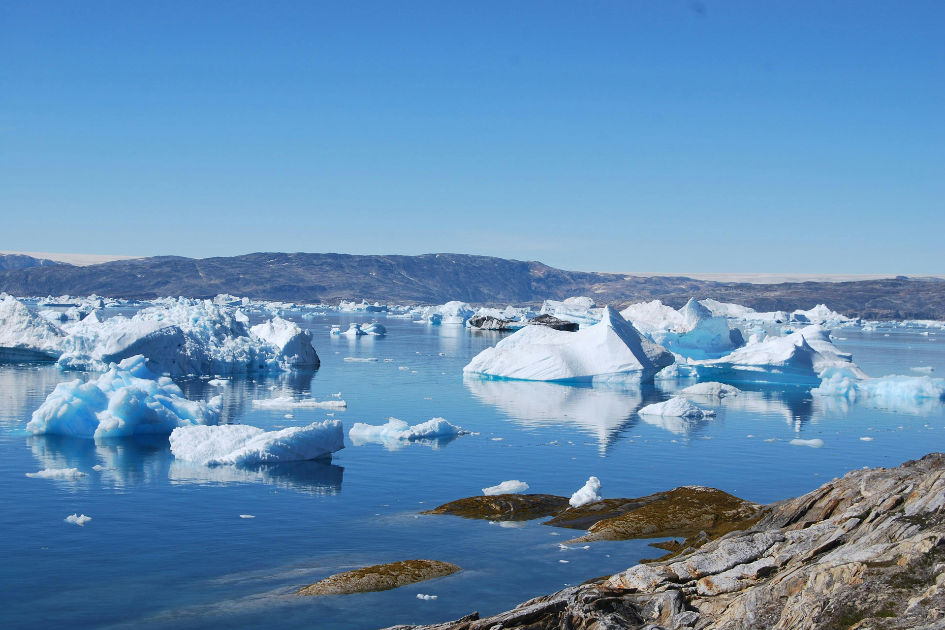 Sea ice