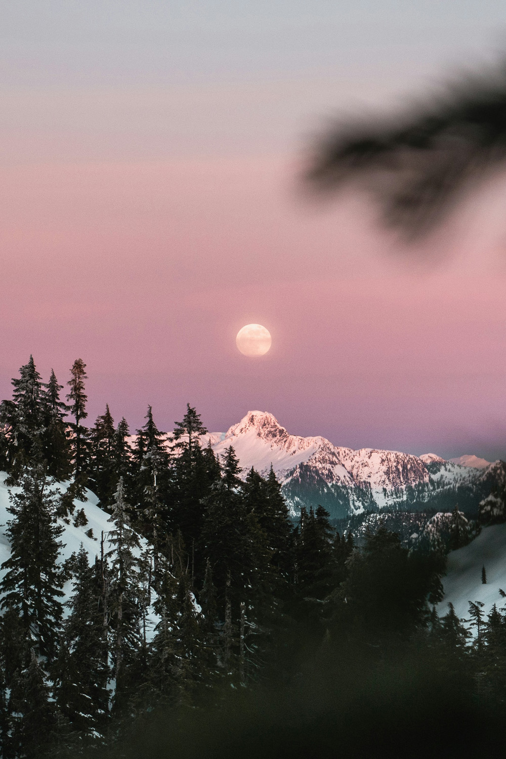 Full moon against a pink sky