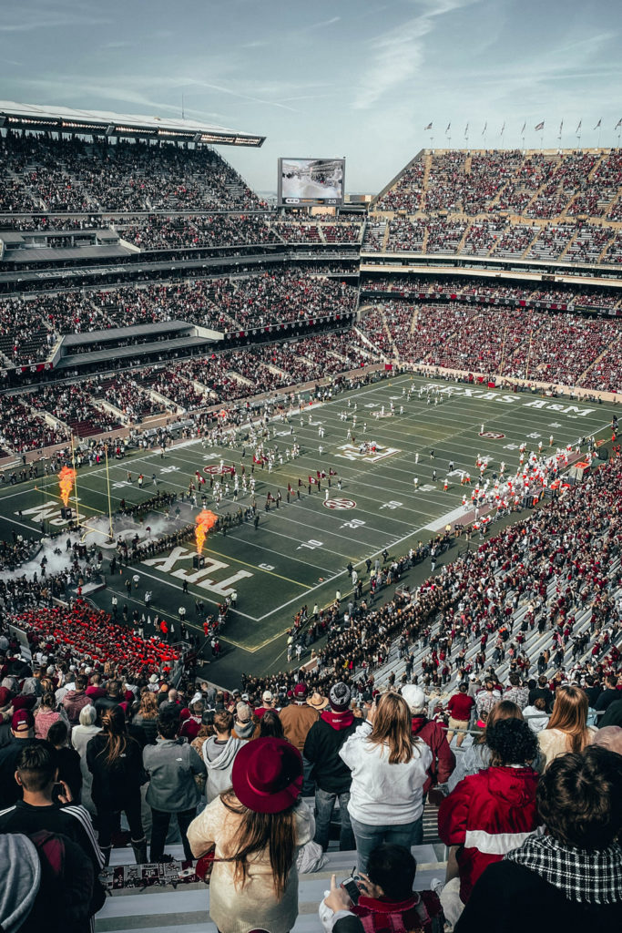 The crowd and pitch at an NFL game