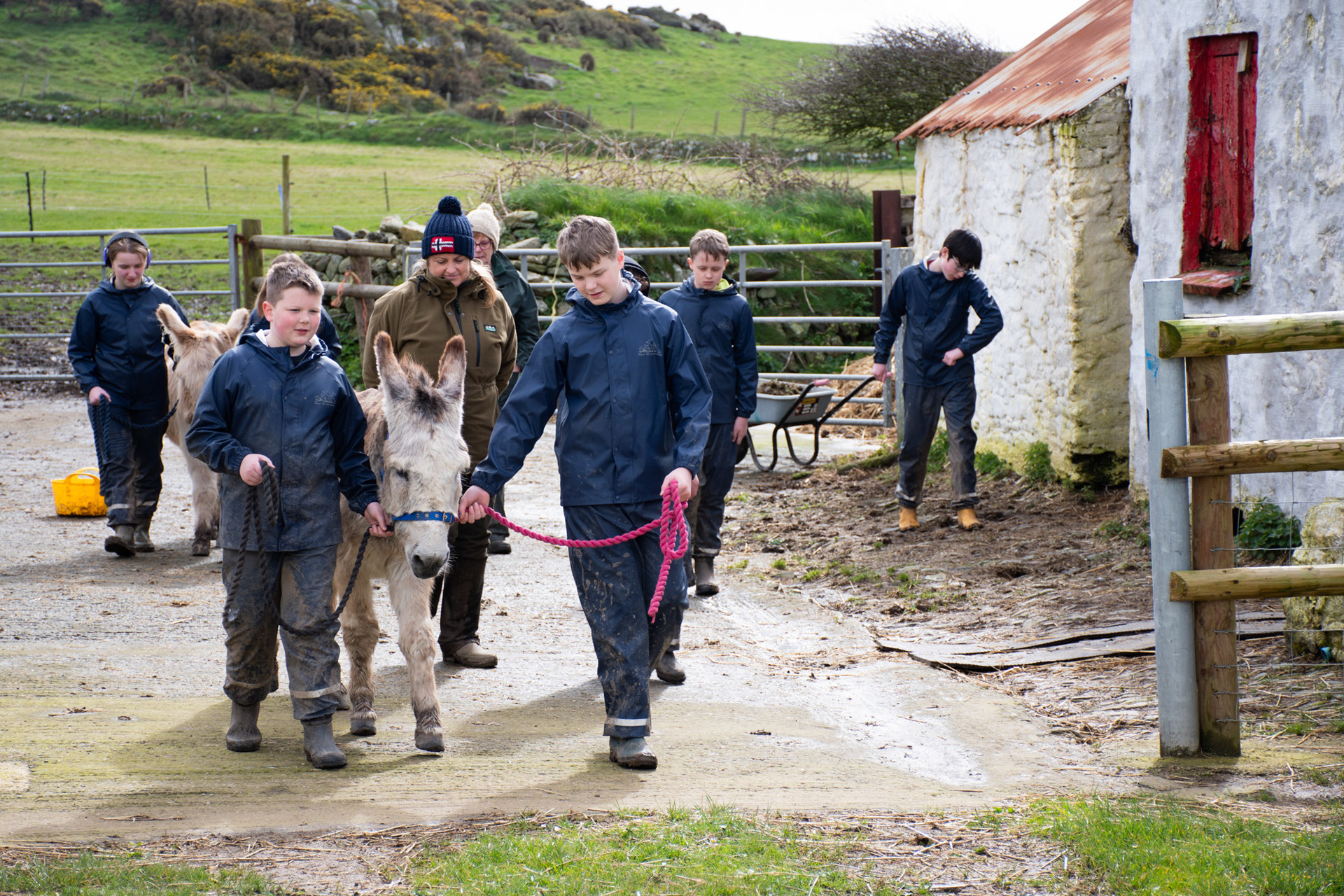 A group of children on a farm