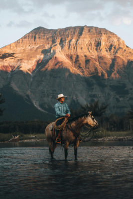 A cowboy on a horse
