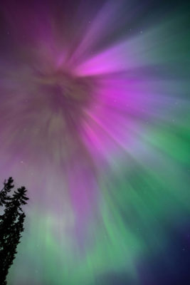 Pink and green Northern lights