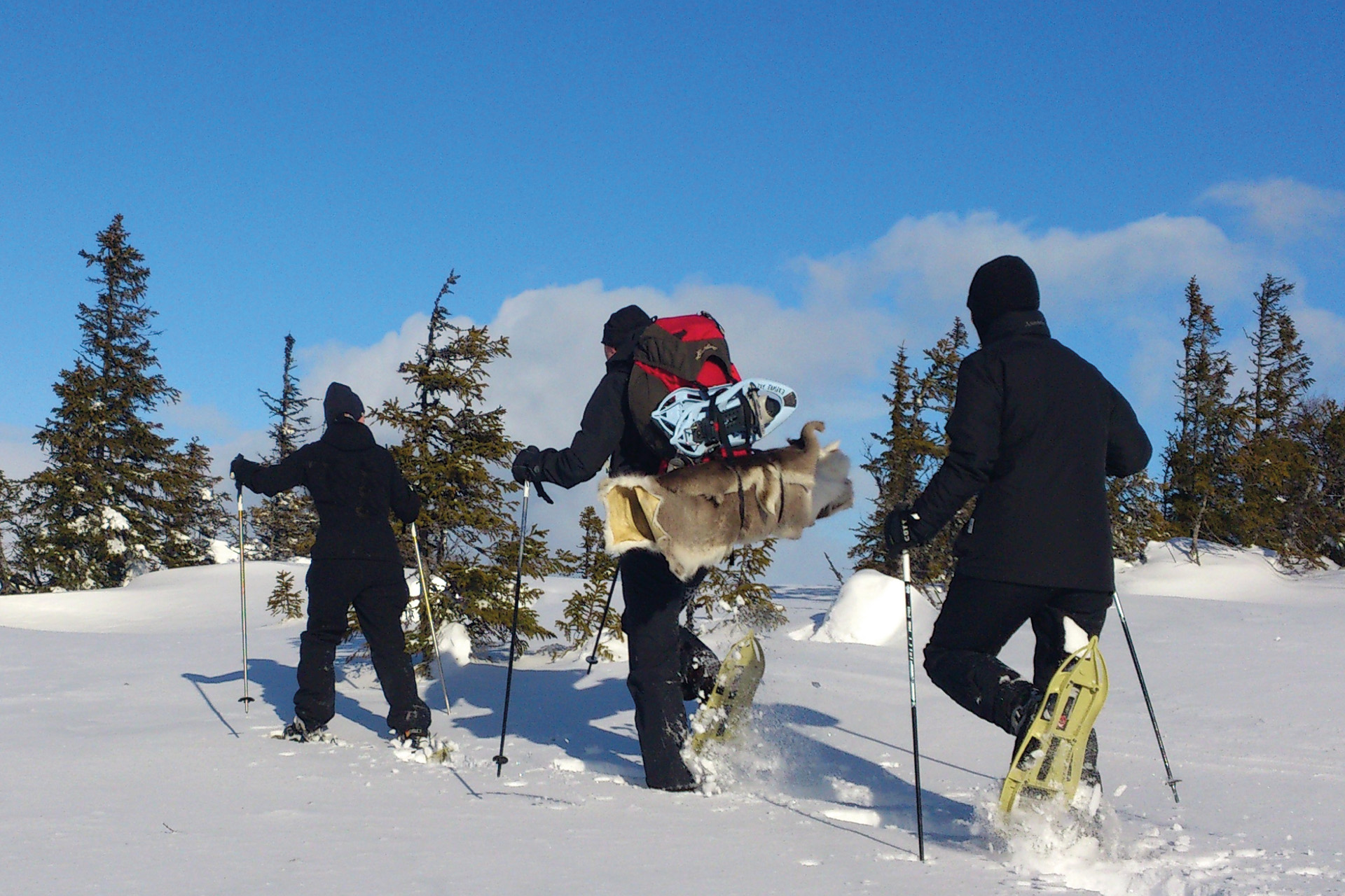 Snowshoeing in Sweden