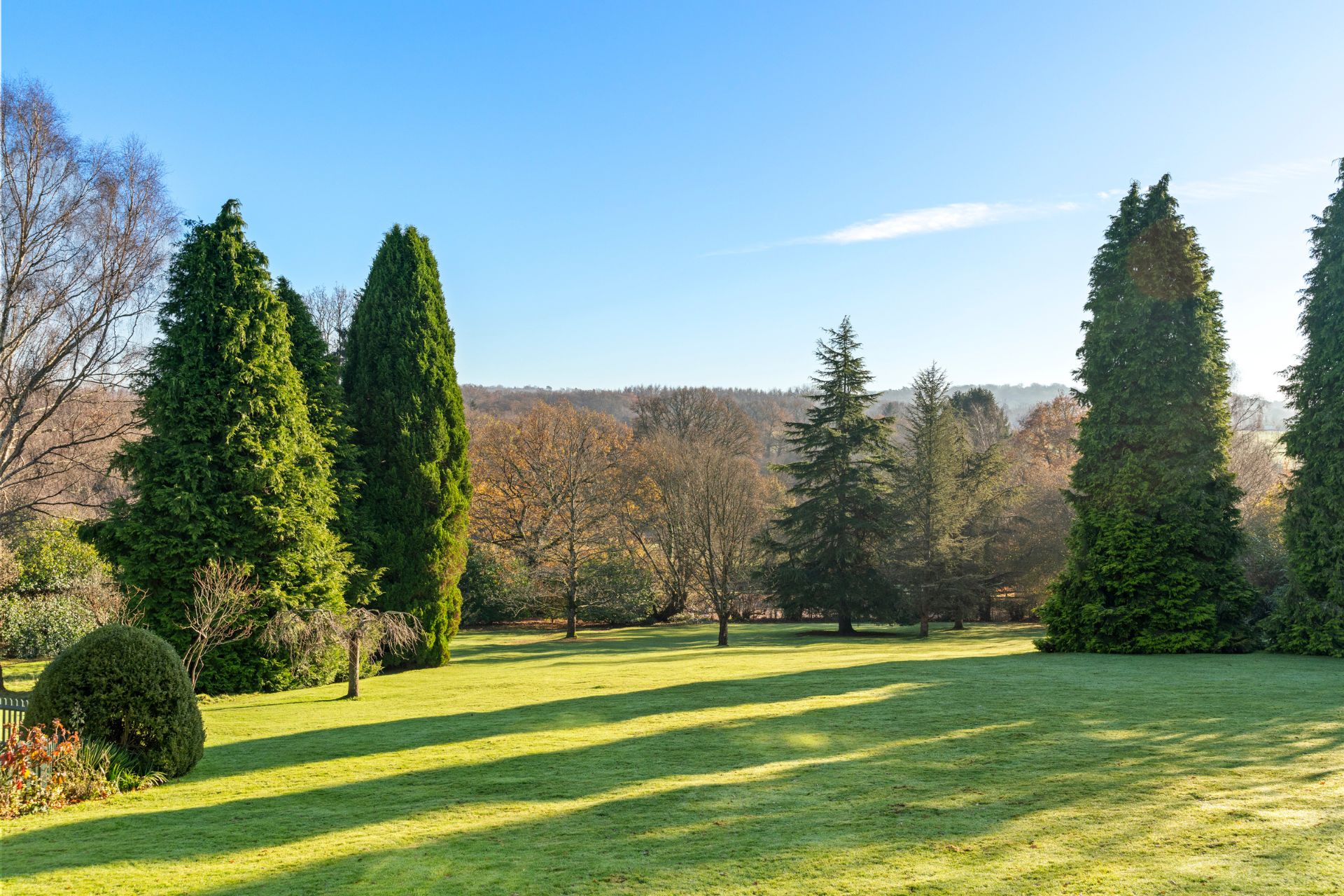 Large garden overlooking a forest