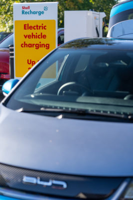 The BYD Dolphin on charge