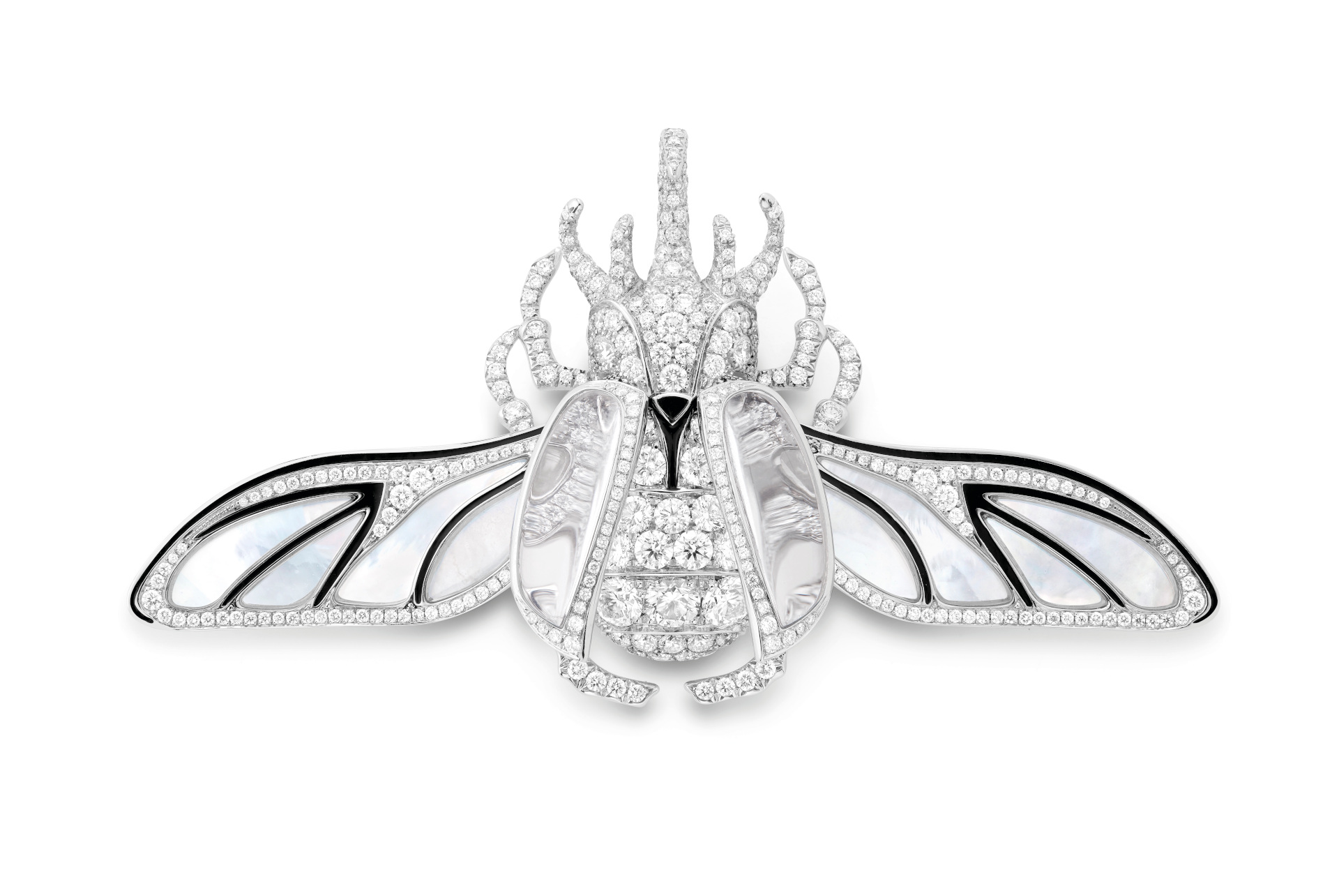 Beetle jewellery