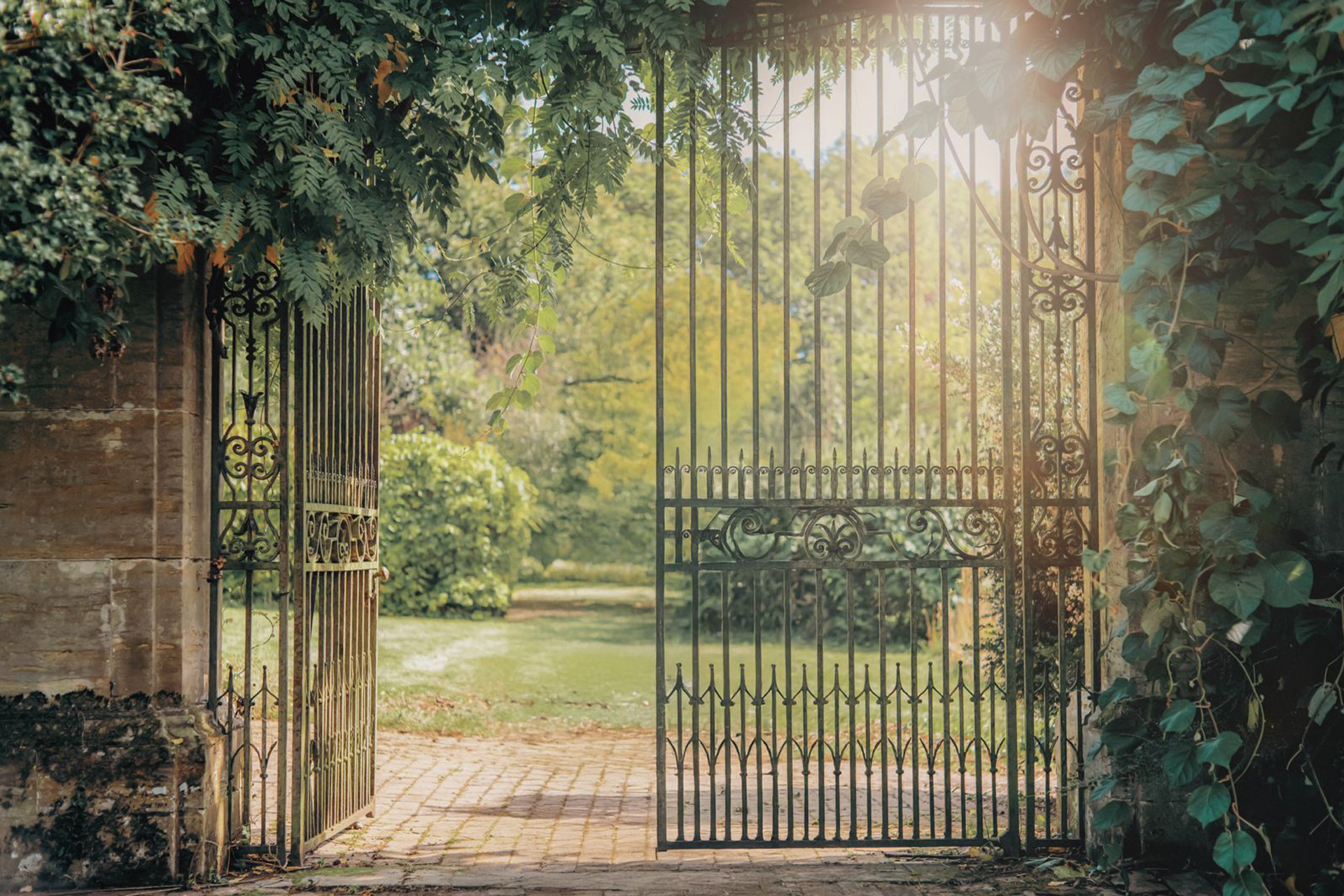 A gate into a garden