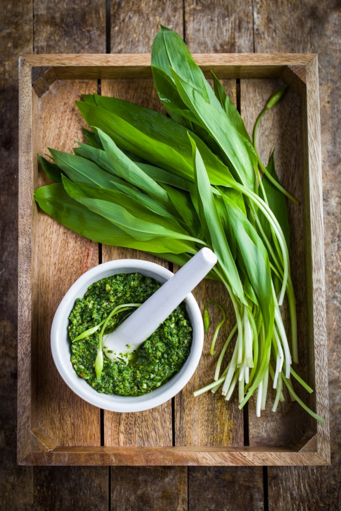 Wild garlic pesto