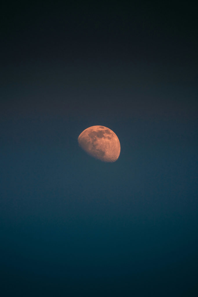 Lunar Eclipse | horoscope