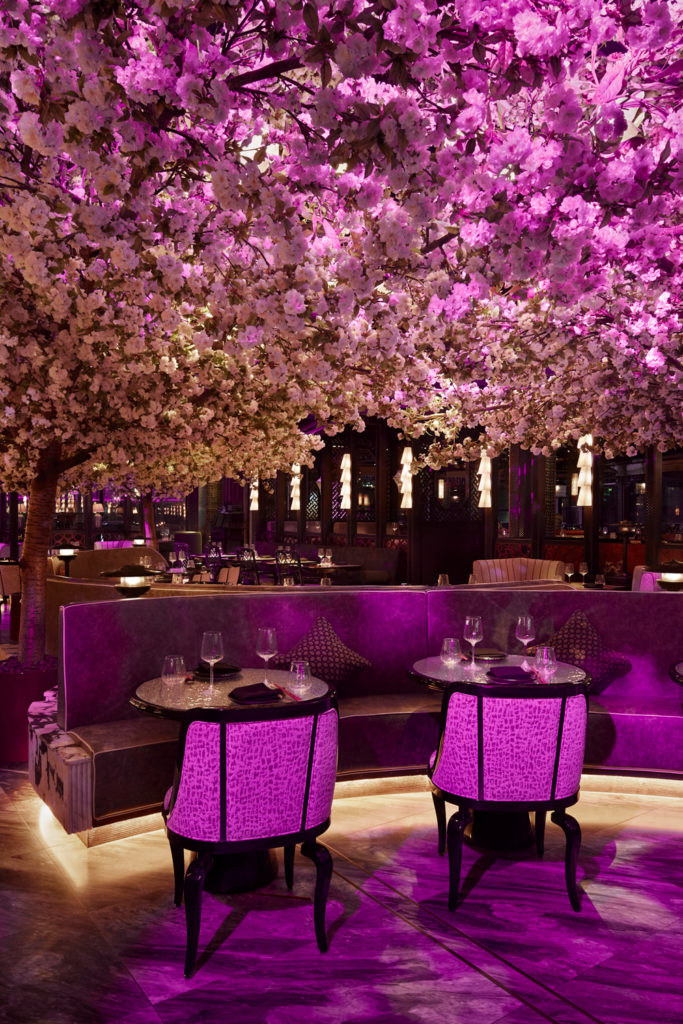 Cherry blossom display at Tattu restaurant