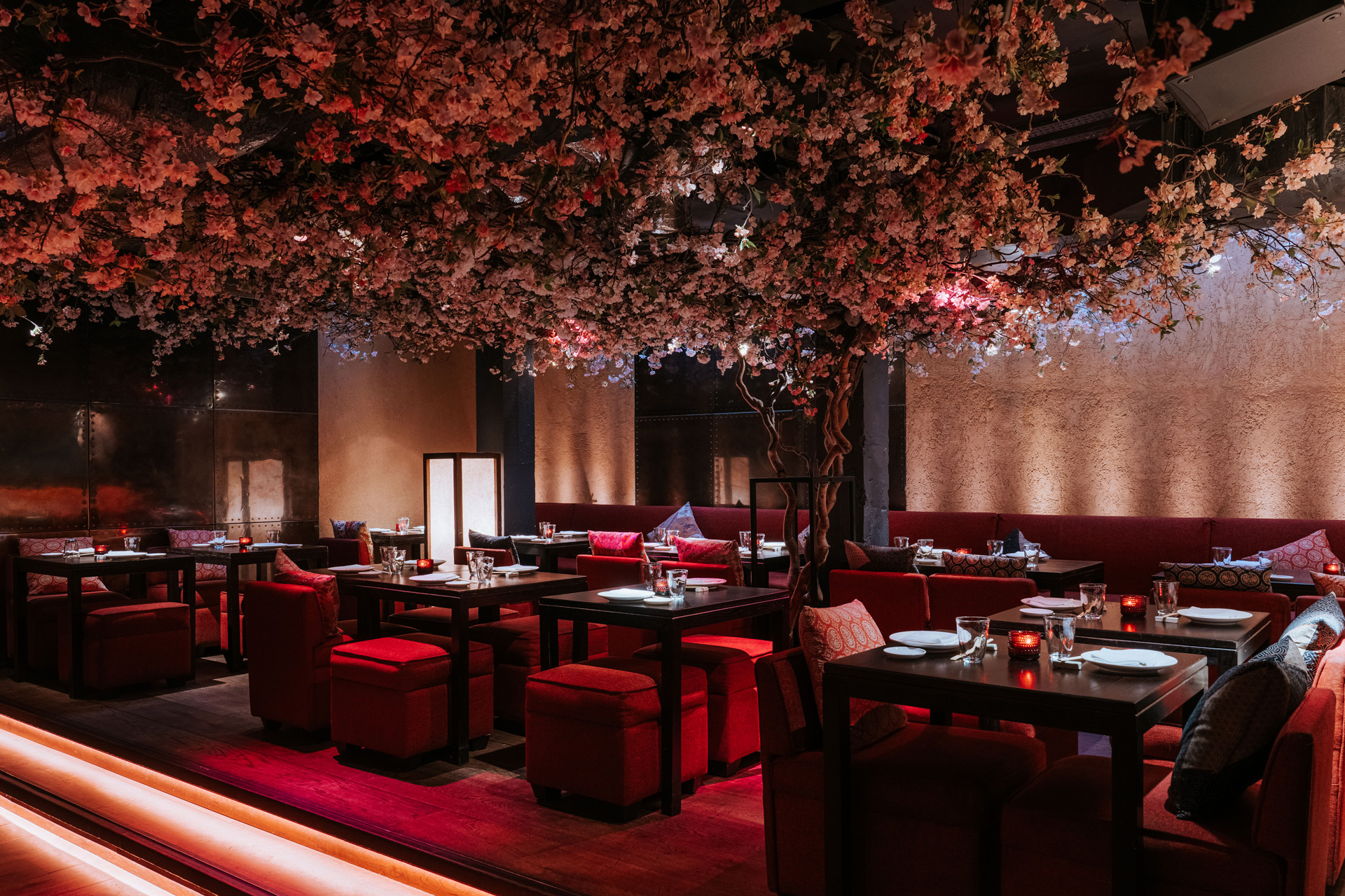 Interiors of Shochu Lounge bar in London