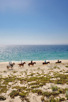 Horses on the beach in Comporta