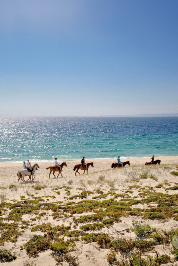Horses on the beach in Comporta