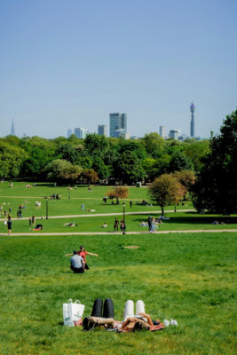 People lying on lush grass in Primrose Hill, London