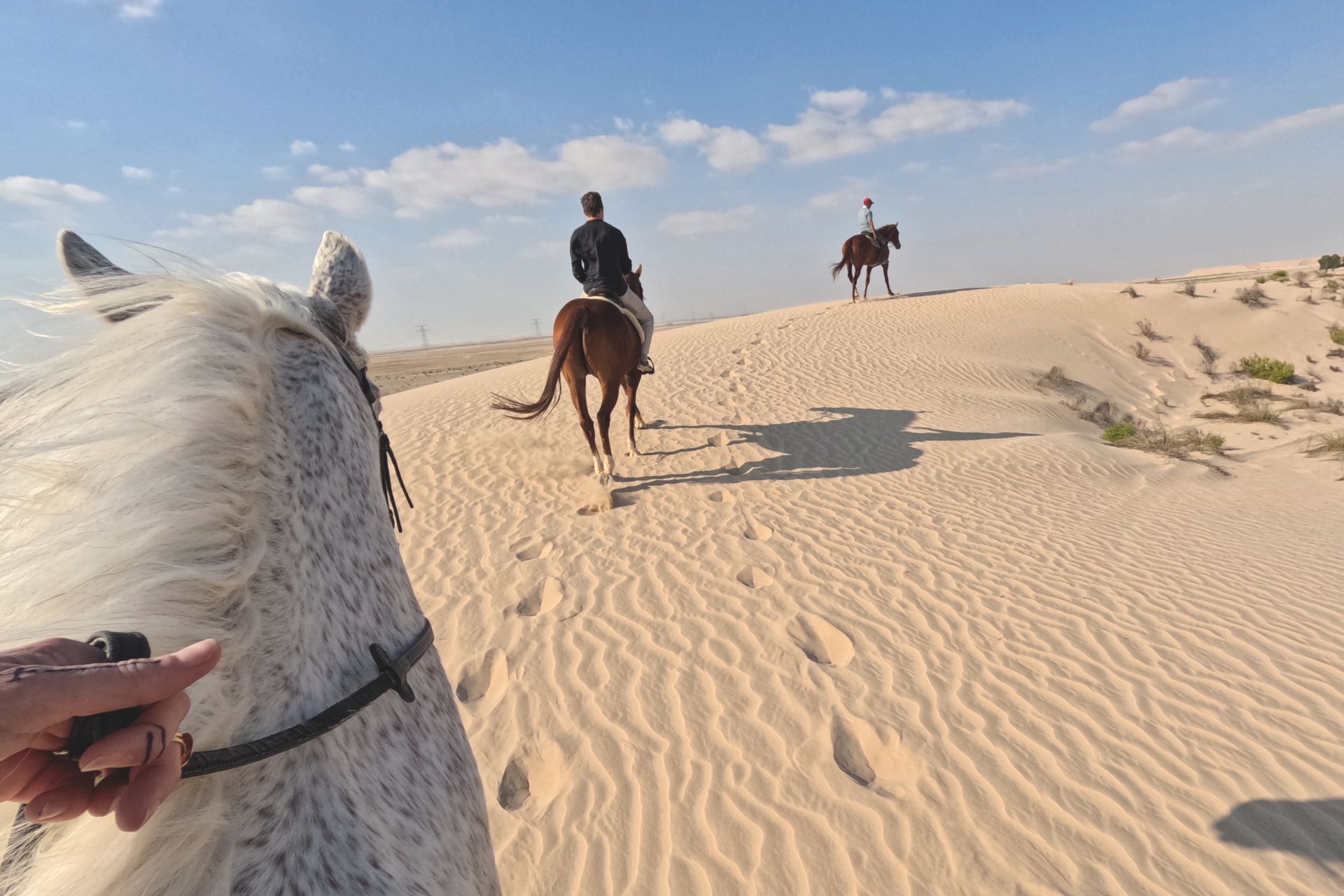 People riding horses across a beach