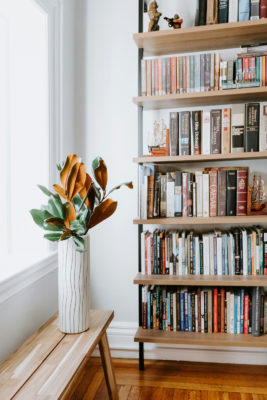 Bookshelves by the window