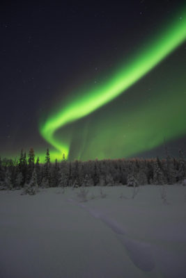 Aurora on Night Sky in Winter