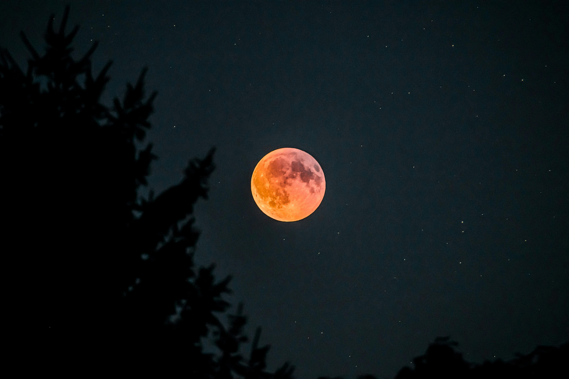 A Blood moon