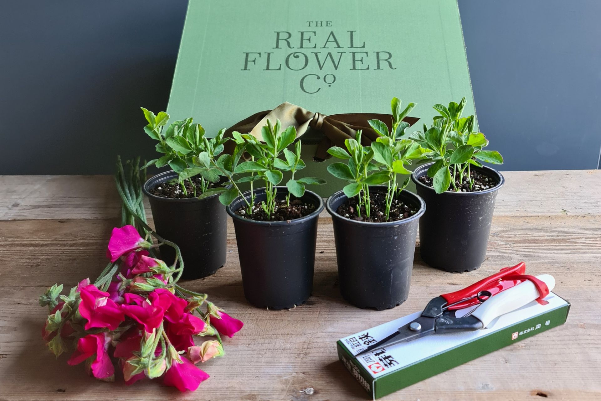Real Flower Co. box with small black plant pots and a pair of secateurs
