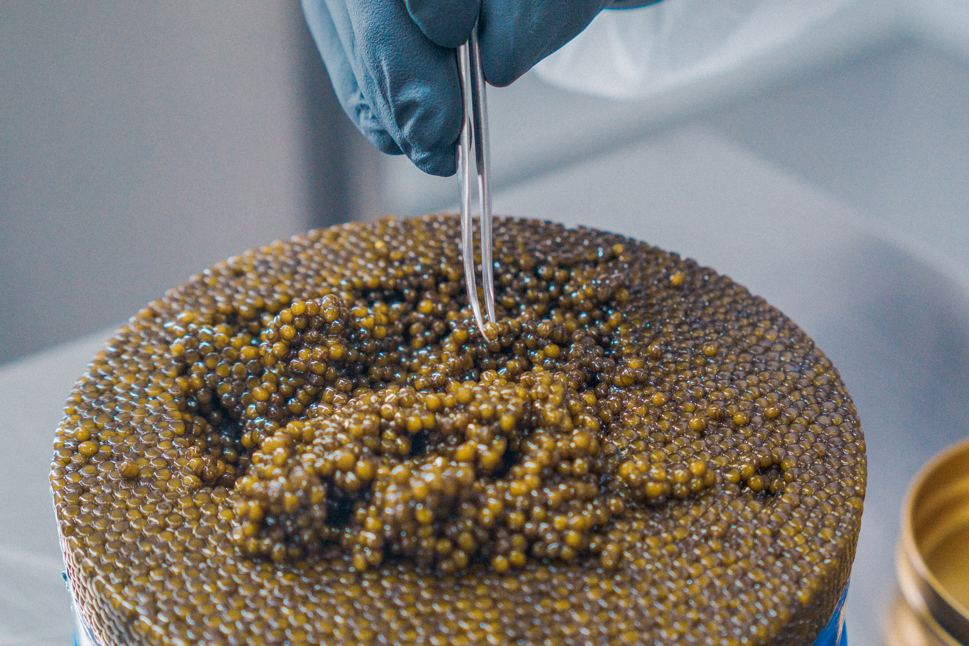 Caviar