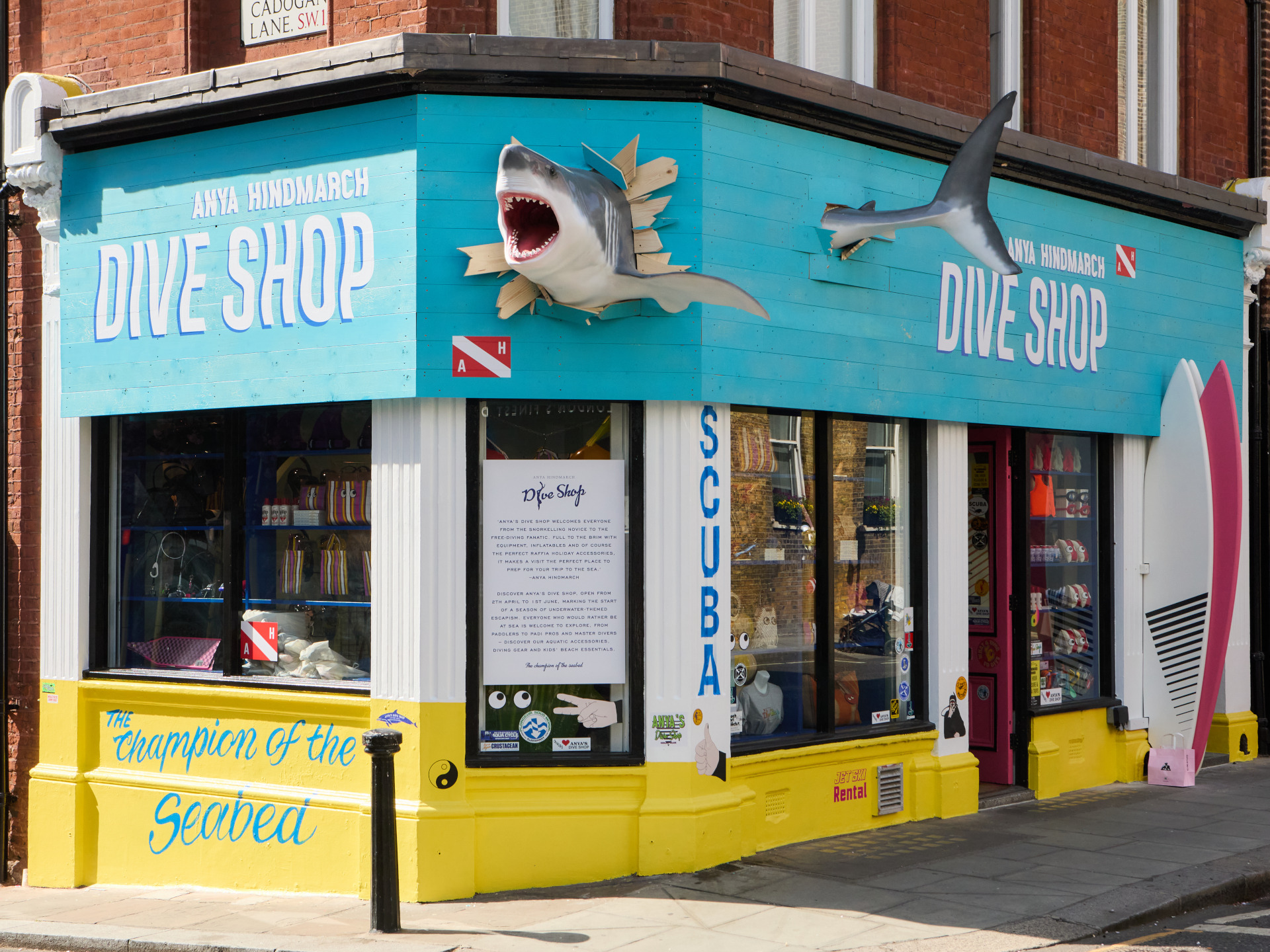 Anya's Dive Shop store front