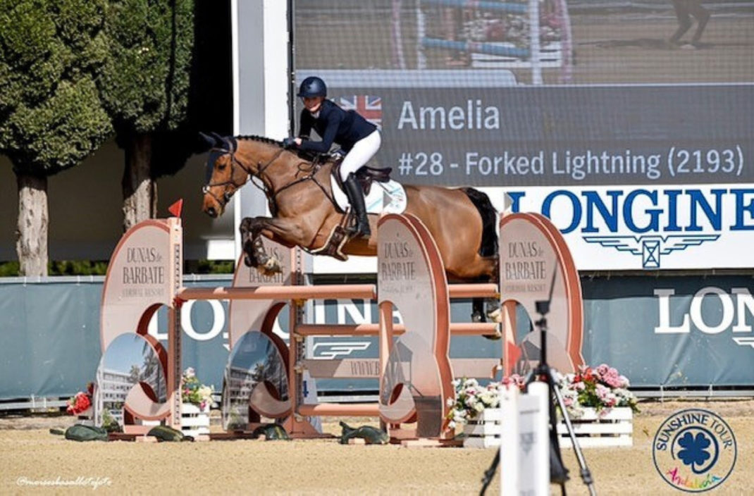 Felsted Student Rider Showjumping