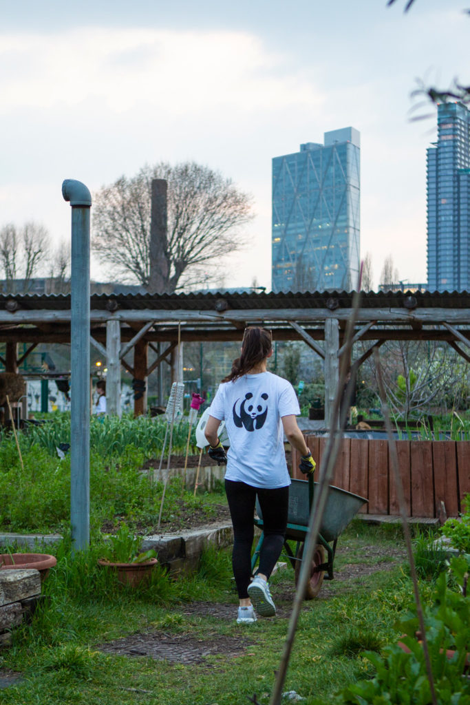 Woman moving wood at Spitalfields City Farm