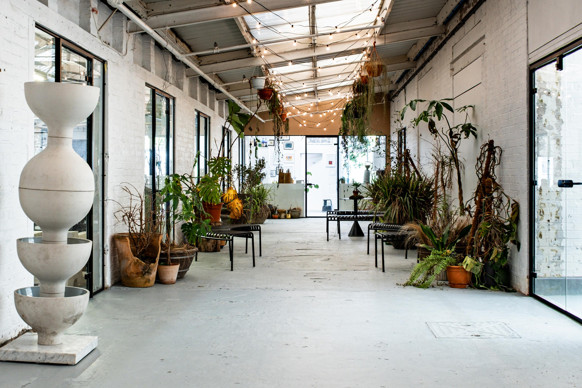 A gallery space filled with plants
