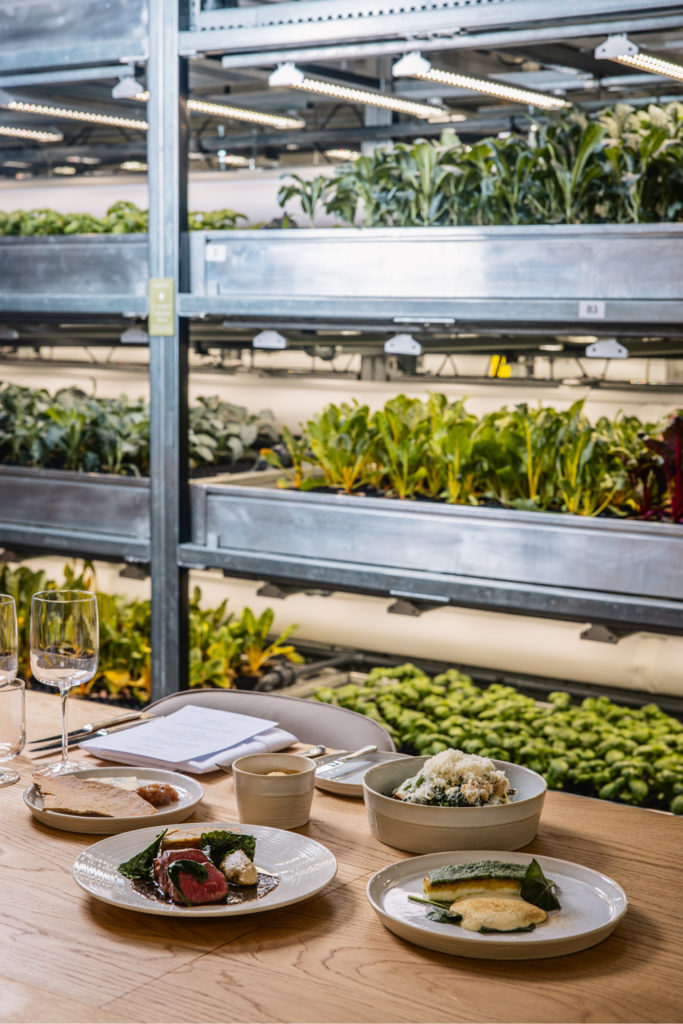 Food on the table at farm restaurant The Orangery