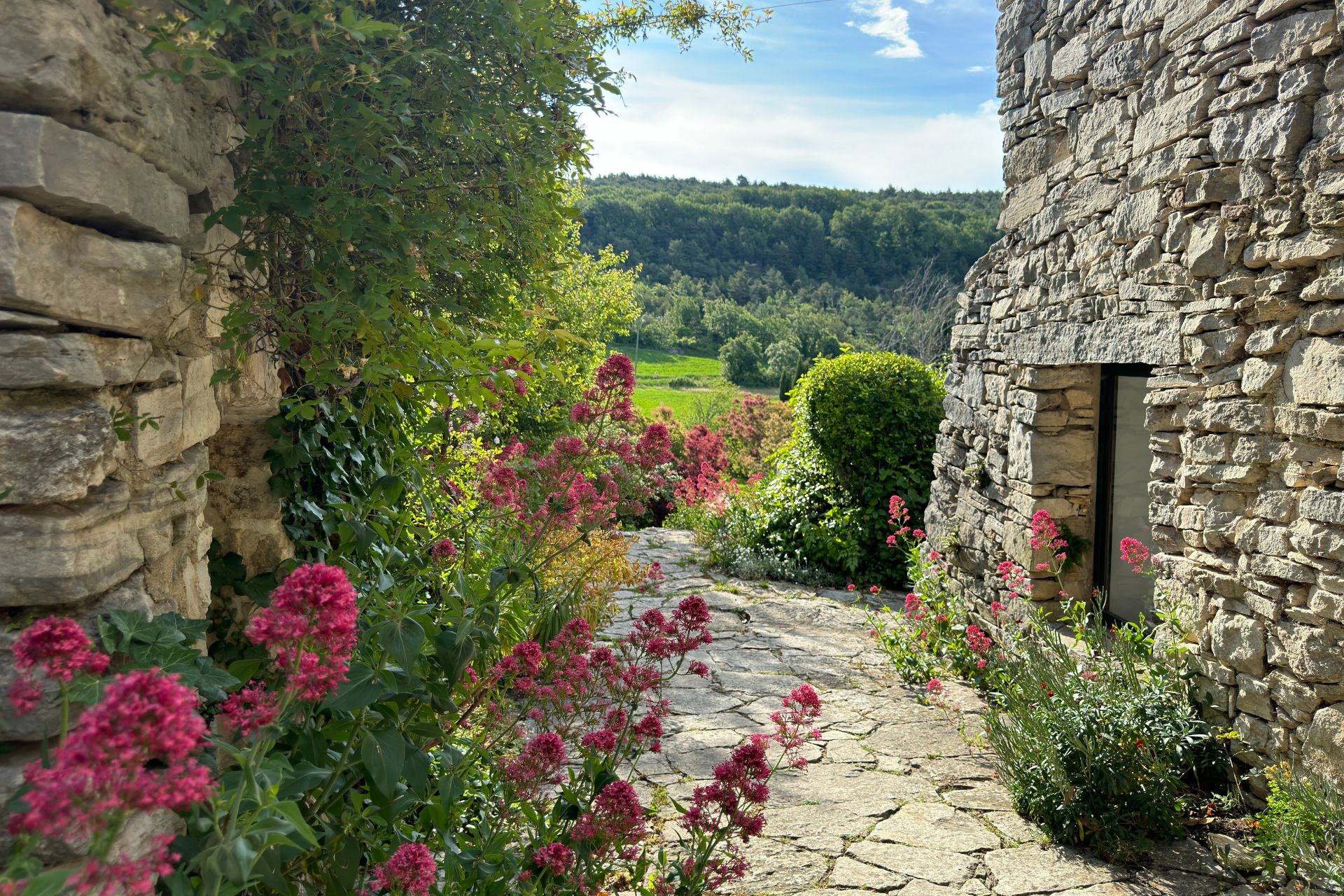 Stone buildings in Provence, surrounded by pink flowers and mountain views