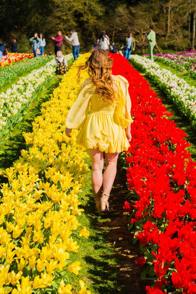 A girl wandering through a field of tulips
