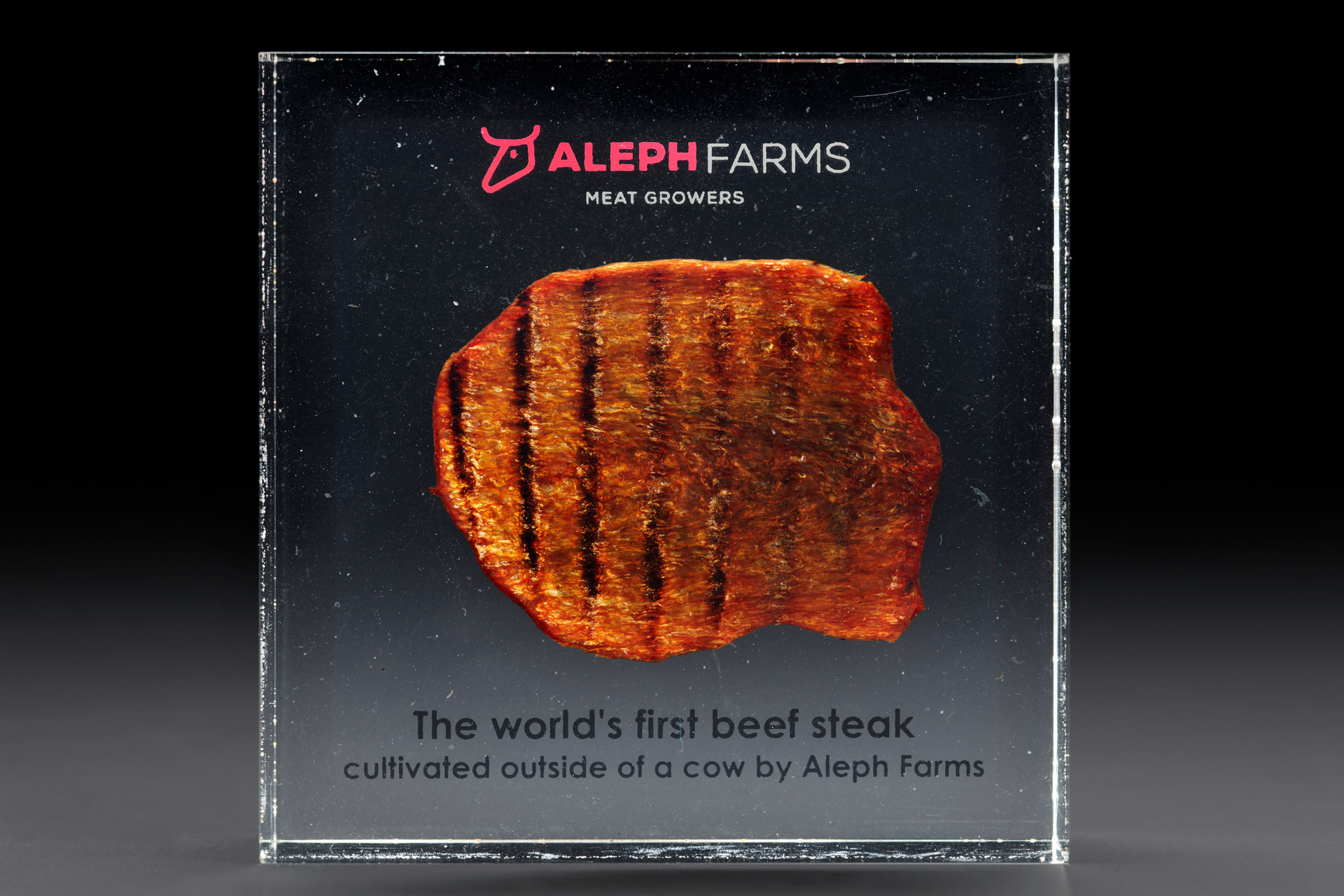 First lab-grown steak