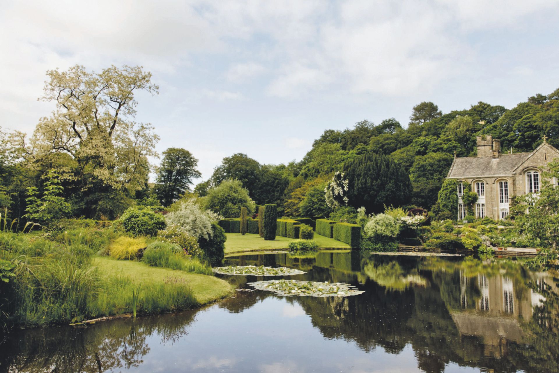 Garden with pond and lilypads