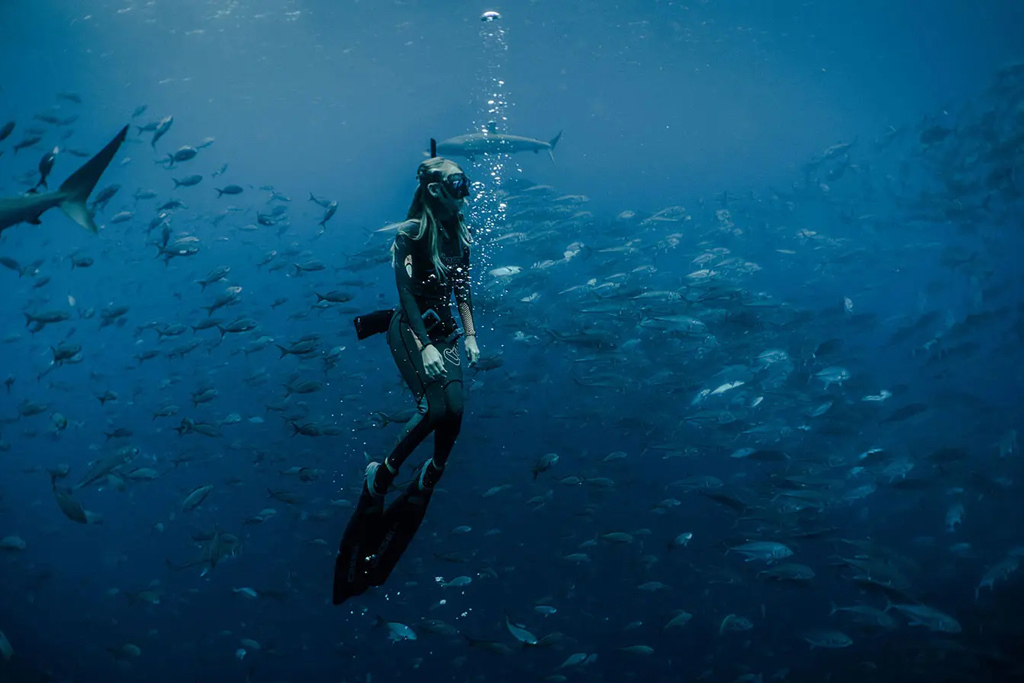 A woman diving in the Galapagos