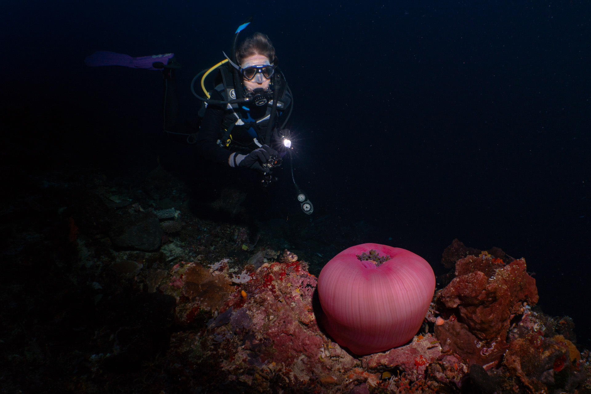 Night diving