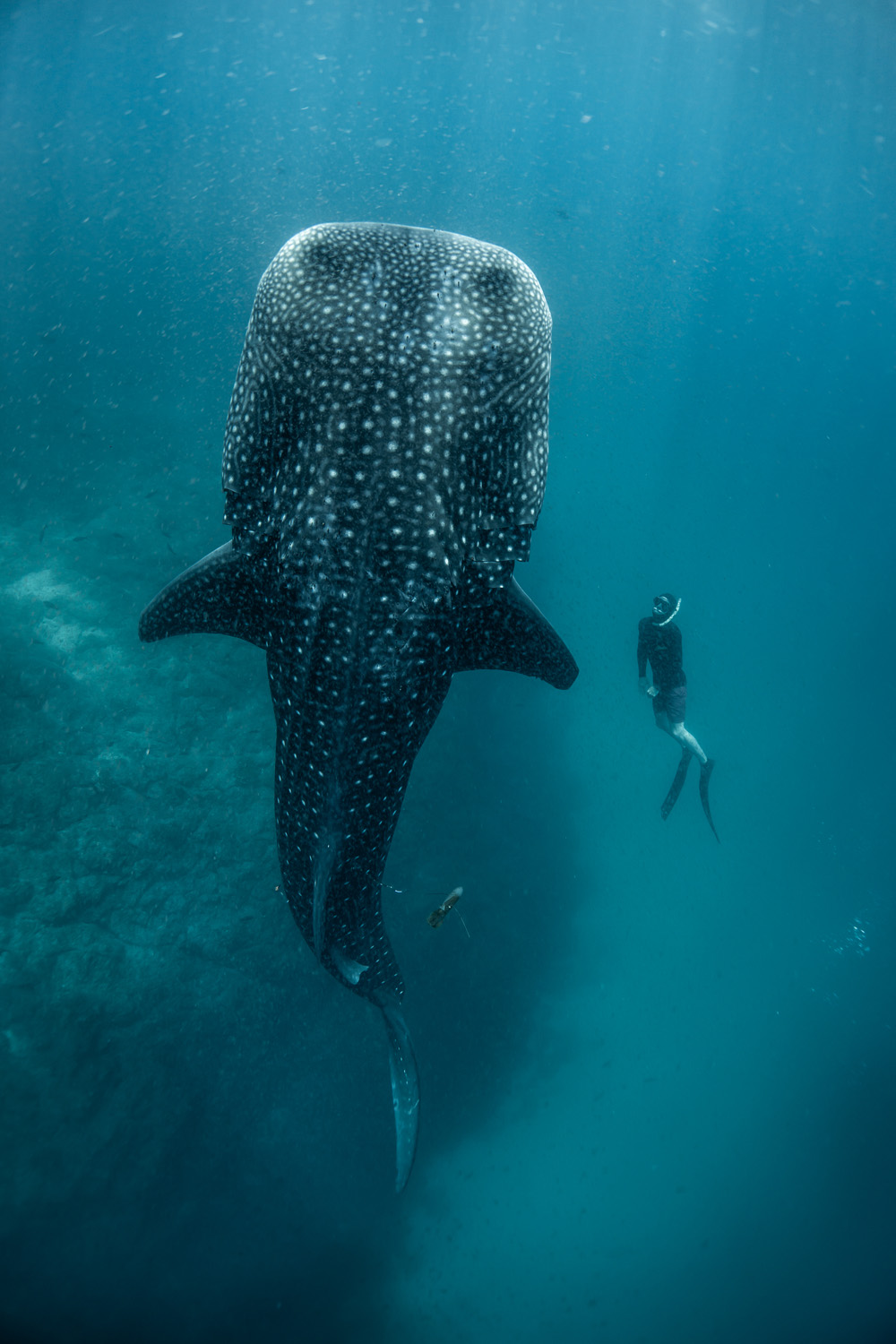 We're Diving Head First Into This Eco Travel Trend