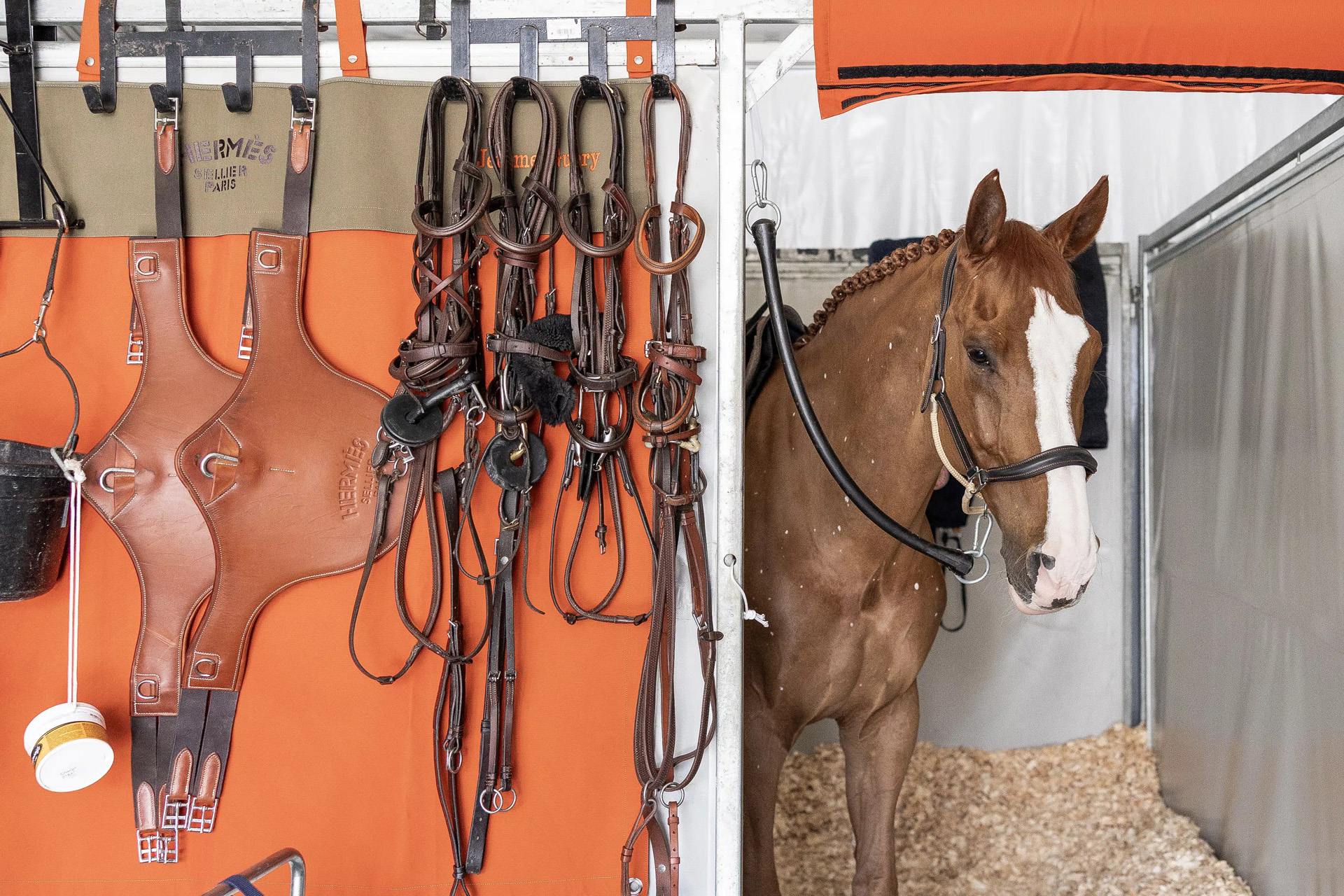 A horse with HERMES tack