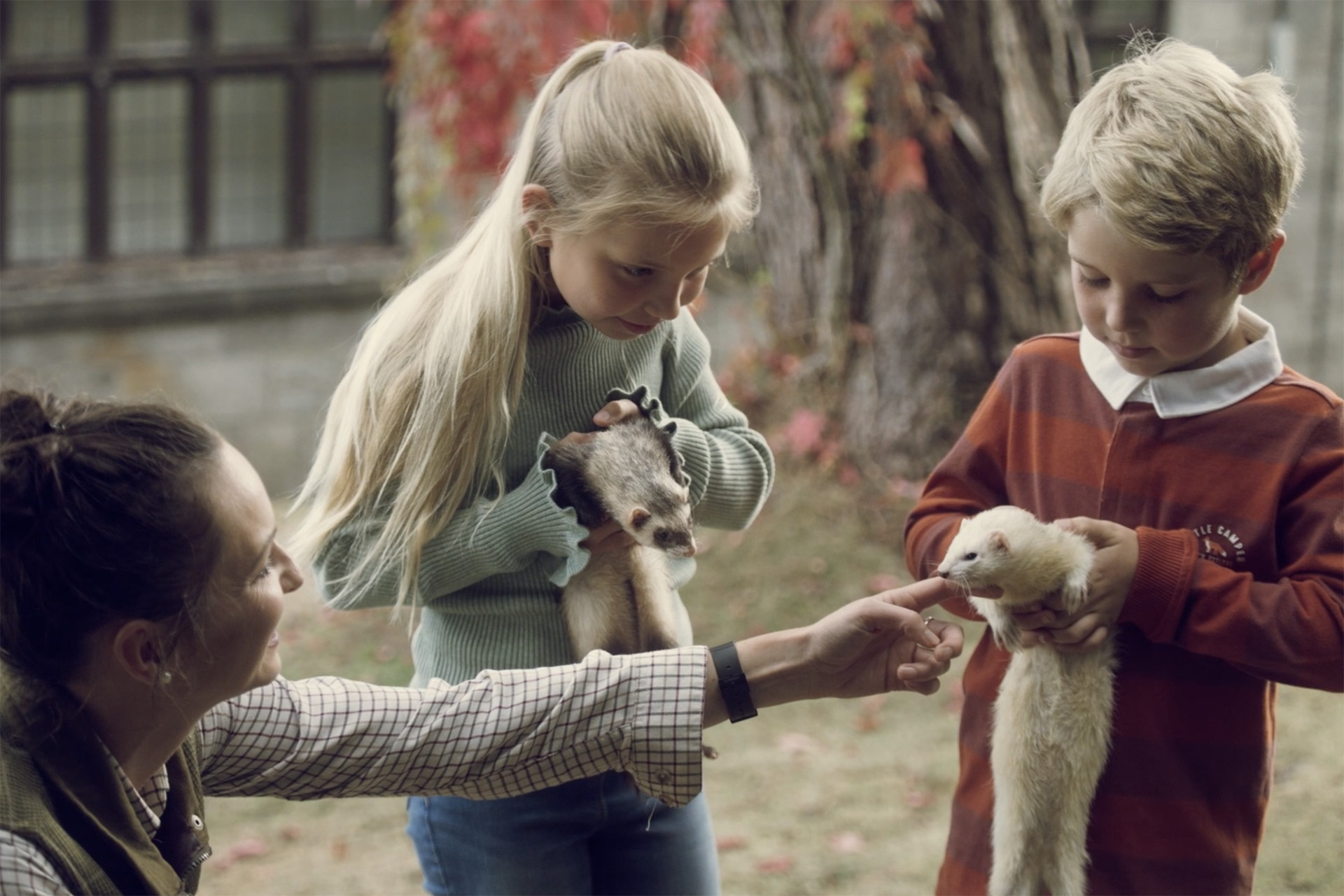 Meet the Ferrets at Bovey Castle