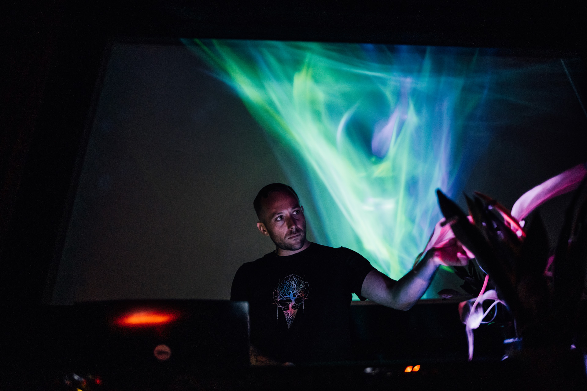Natural Symphony uses technology to translate the live frequencies of plants into audio and visual effects