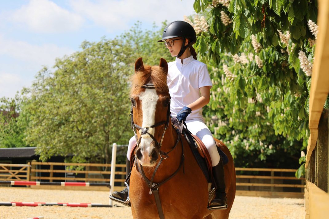 New Hall School Rider on Horse