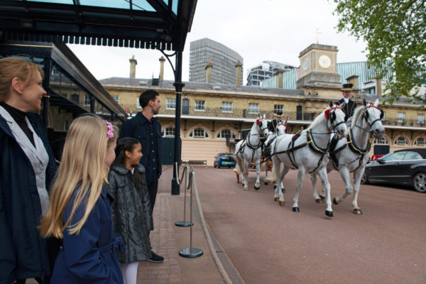Horses at the Royal Mews