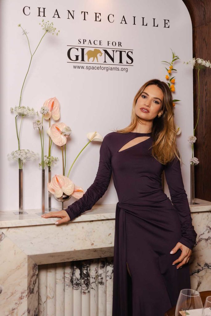 Lily James